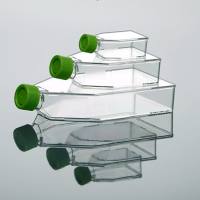 硕华 211410 225cm2，细胞培养瓶，未TC处理，密封盖