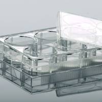 硕华 220100 6孔细胞培养板,平底,TC处理