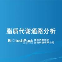脂质代谢通路分析-百泰派克生物科技