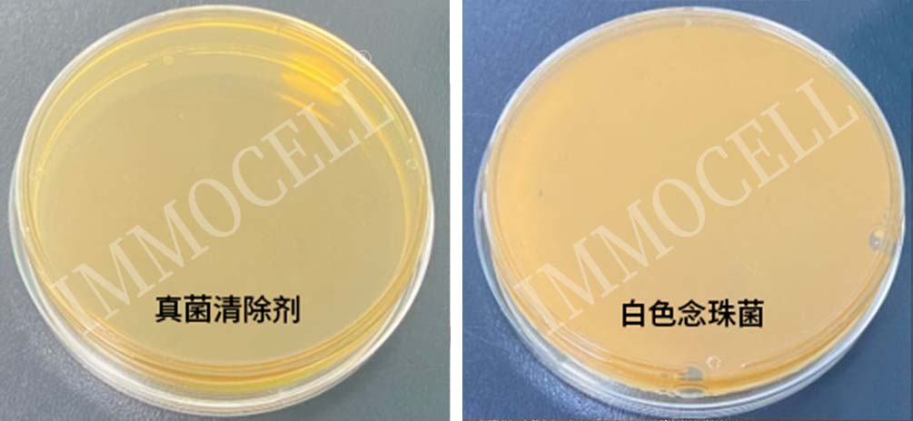 真菌清除剂(1000X)试用装