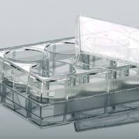 硕华 220300 24孔细胞培养板，平底，TC处理