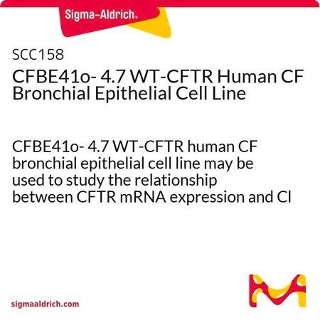 默克Merck CFBE41o- 4.7 WT-CFTR Human CF Bronchial Epithelial Cell Line