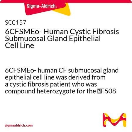 默克Merck 6CFSMEo- Human Cystic Fibrosis Submucosal Gland Epithelial Cell Line