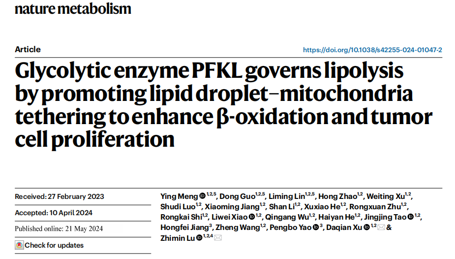 IF=18.9！浙大医学院副院长吕志民、许大千教授团队揭示调控脂解与线粒体β-氧化的代谢枢纽-糖酵解酶PFKL的神奇作用