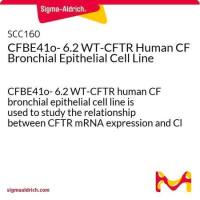 默克Merck CFBE41o- 6.2 WT-CFTR Human CF Bronchial Epithelial Cell Line