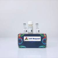 ReadiLink RPE抗体标记试剂盒