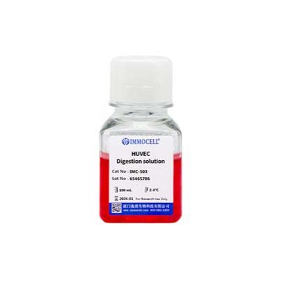 HUVEC专用消化酶