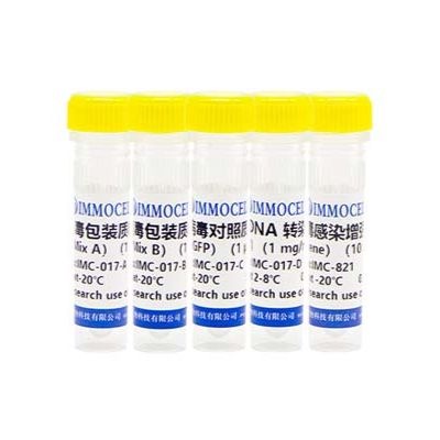 慢病毒包装试剂盒