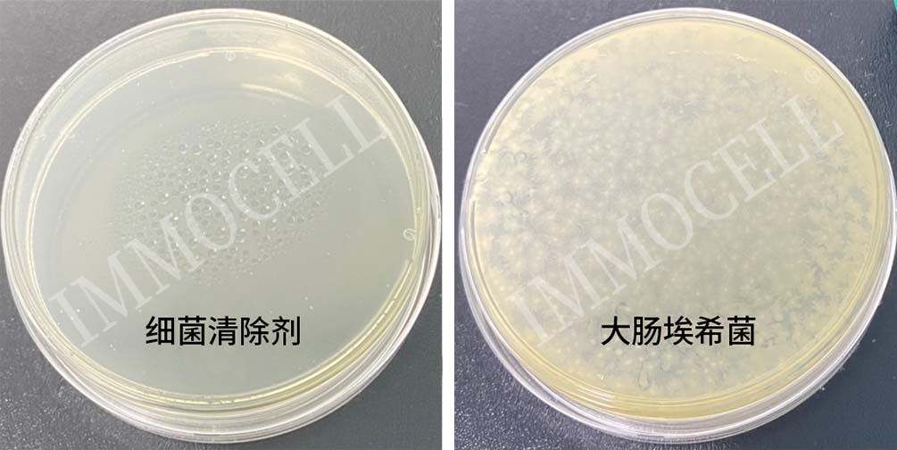 细菌清除剂(1000X)试用装
