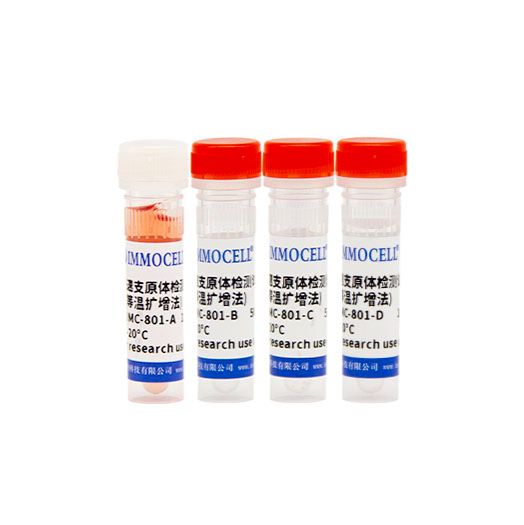 一步法快速支原体检测试剂盒(等温扩增法)