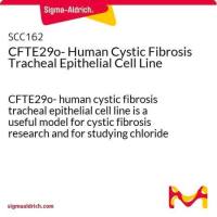  默克Merck CFTE29o- Human Cystic Fibrosis Tracheal Epithelial Cell Line