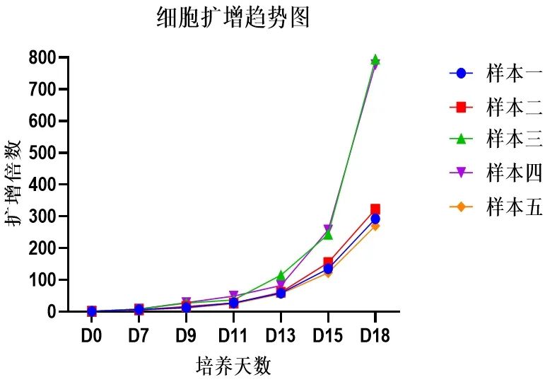 同立海源NK细胞培养试剂盒3.0,开启高效、精准且低成本的NK细胞培养新征程。【细胞扩增趋势图】