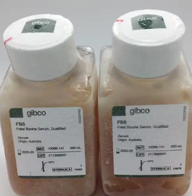 胎牛血清主要成分分类及功能详析