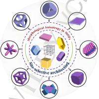 IRMOF-3金属有机骨架包裹10-羟基喜树碱