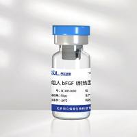重组人bFGF蛋白（耐热型）