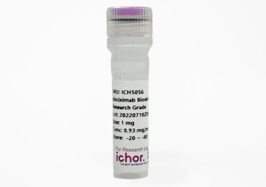 Ichorbio体内低内毒素小鼠IgG1(HKSP84)同种型对照限时折扣促销