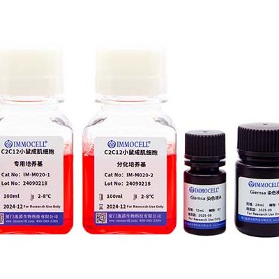 C2C12 成肌细胞成肌管诱导分化培养基试剂盒产品图