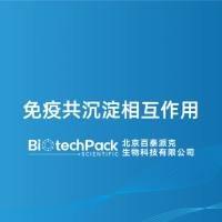 免疫共沉淀相互作用