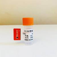 01型霍乱菌单克隆抗体;0139型霍乱单克隆抗体;霍乱抗体