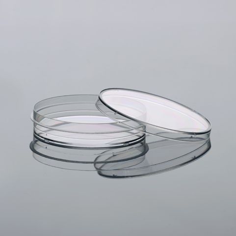 硕华 231401 150mm细胞培养皿，未TC处理