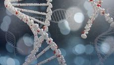 【推荐】重新定义分子诊断：快速、稳定的qPCR、LAMP和NGS解决方案