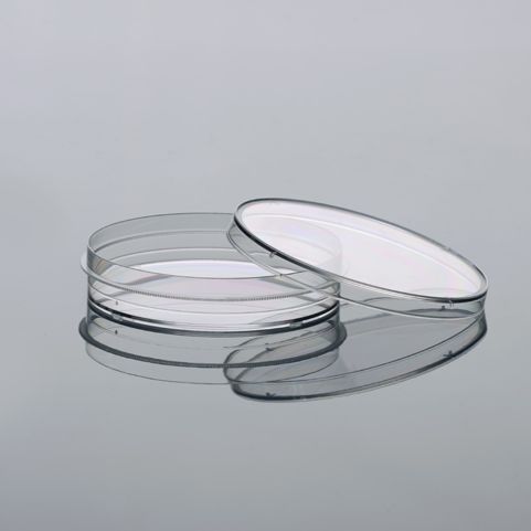 硕华 231201 60mm细胞培养皿，未TC处理