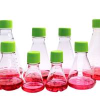 硕华 281210 125ml 三角培养摇瓶,PC材质,密封盖,平底