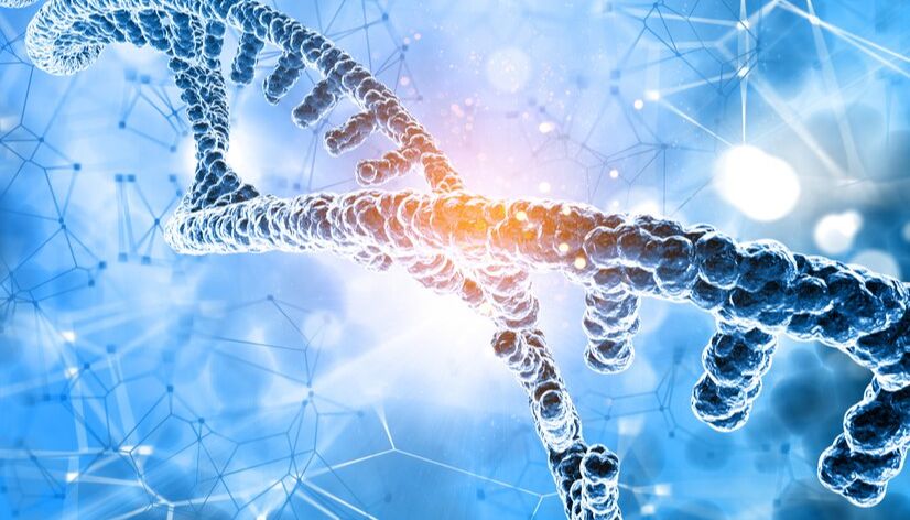 【推荐】PCR反应中的抑制是哪儿来的？怎么消除？