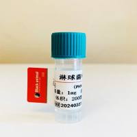 淋球菌单克隆抗体；淋球菌抗体；淋病奈瑟菌抗体；NGH-McAb ；NGH抗体