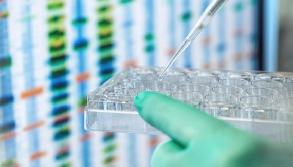 【Cast Study】高效精准特异的超多重PCR：tNGS肿瘤检测的重要基石