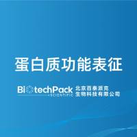 蛋白质功能表征