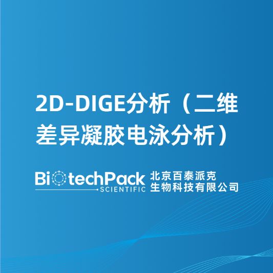 2D-DIGE分析（二维差异凝胶电泳分析）