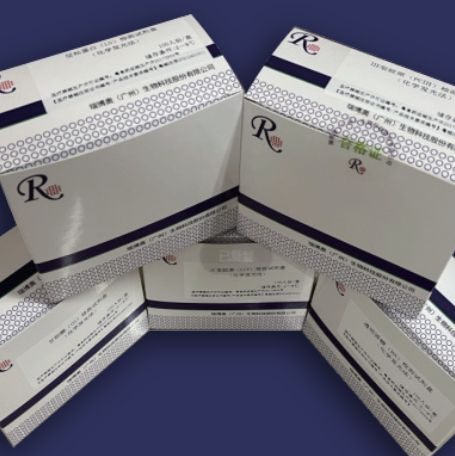 糖类抗原125（CA125）检测试剂盒（酶联免疫法）