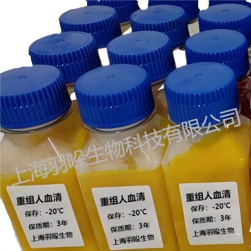 重组人血清(IVD 通用型)，去激素血清