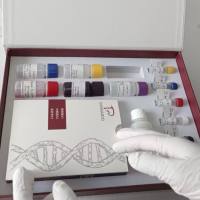 Human Parainfluenza Virus 4B(HPIV-4B)人副流感病毒4B型探针法荧光定量RT-PCR试剂盒