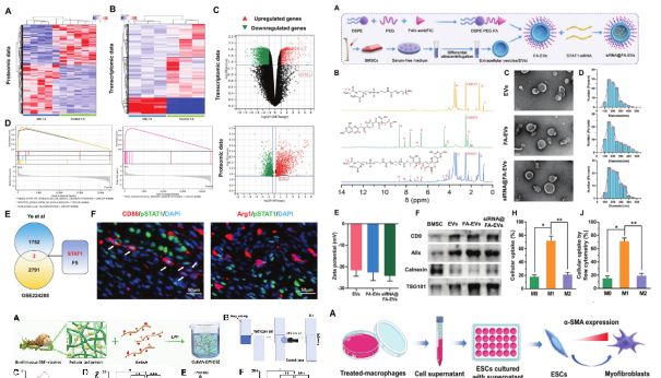 项目文章精选 | 转录组测序如何发10+分文章