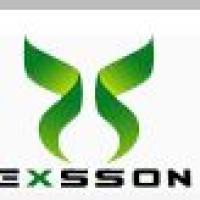 hPSC-RPE细胞（Day25）