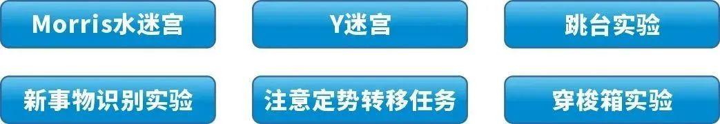 IF=14.7【客户文章】Neuron︱阿尔茨海默病新机制!中科大申勇教授团队发现BACE1剪切GABAA受体加速疾病进展