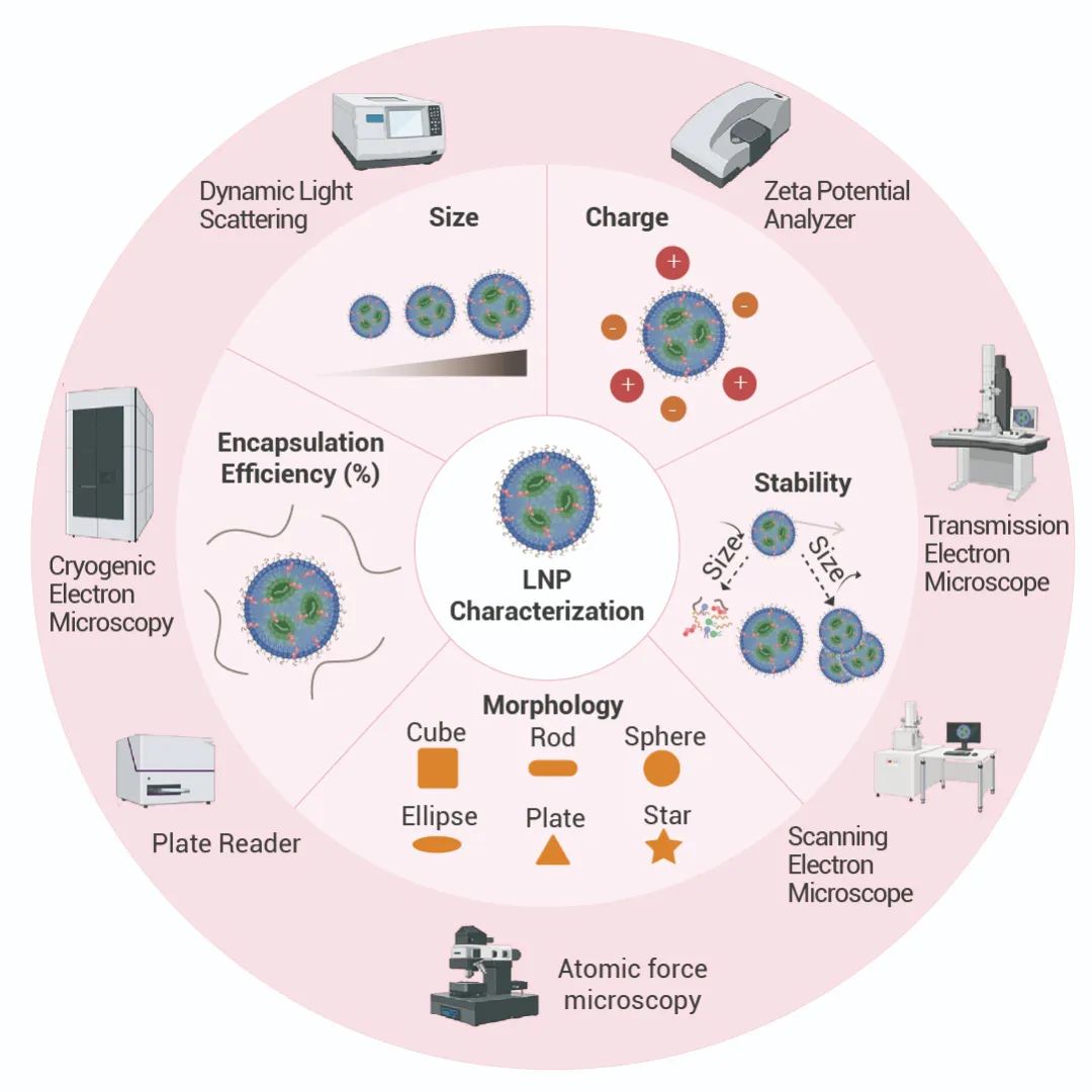 畫板 1 副本 7(1).jpg