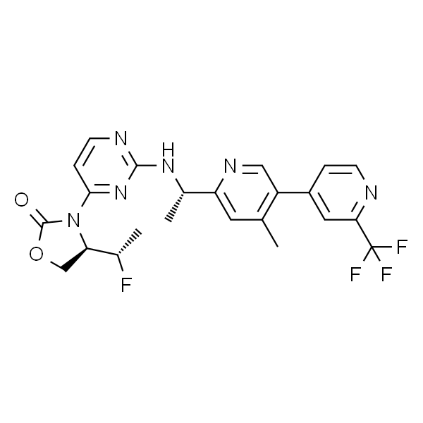 II2690 IDH-305 代谢酶/蛋白酶 索莱宝
