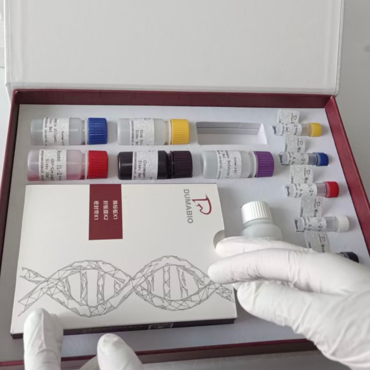 Human Parainfluenza Virus(HPIV)人副流感病毒探针法荧光定量RT-PCR试剂盒