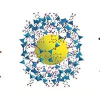 负载环丙沙星(CIP)和姜黄素的ZIF-8纳米颗粒被聚-L-赖氨酸(PLL)修饰