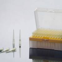 硕华 331161 10μl 透明吸头，滤芯加长款，长度39mm，盒装，无菌