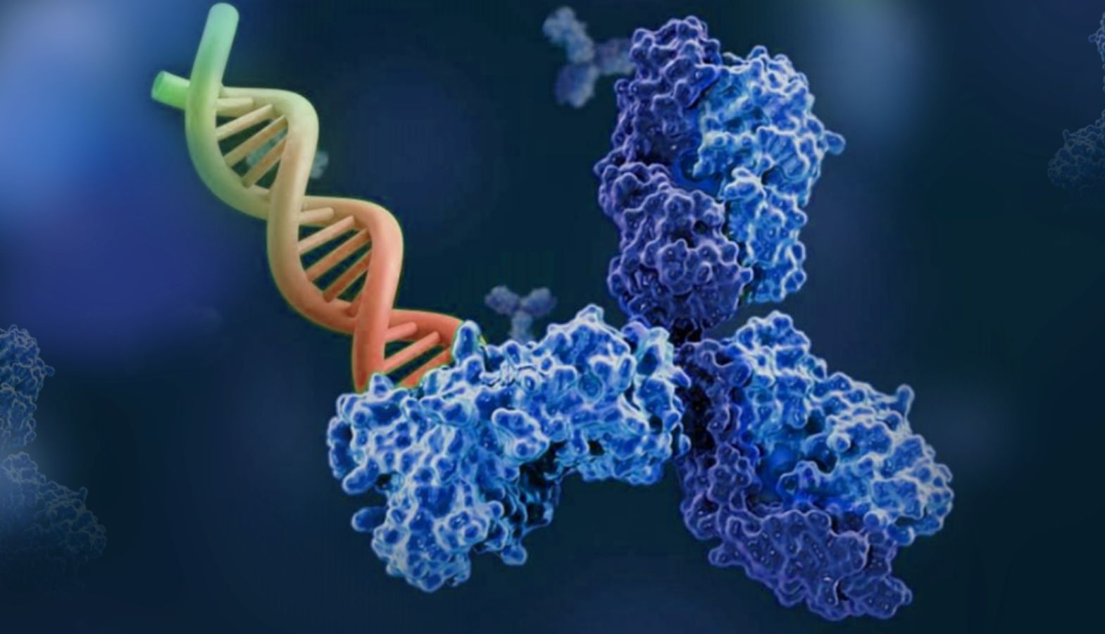 先导科普荟 | 寡核苷酸肝外递送先锋—AOC