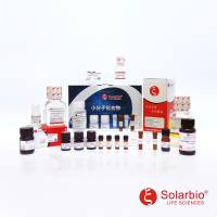 IP12009 PD98059(10mM in DMSO) 抑制剂/拮抗剂/激动剂 索莱宝