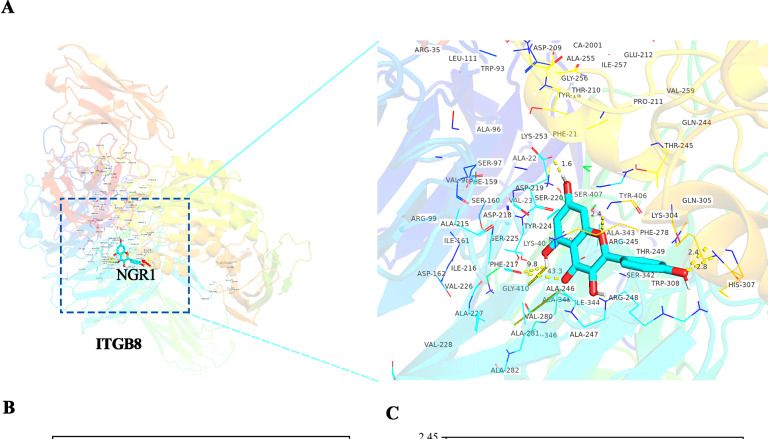 IF：6.0，网络药理学+转录组+单基因分析，解析三七皂苷R1显著缓解糖尿病肾病机制！
