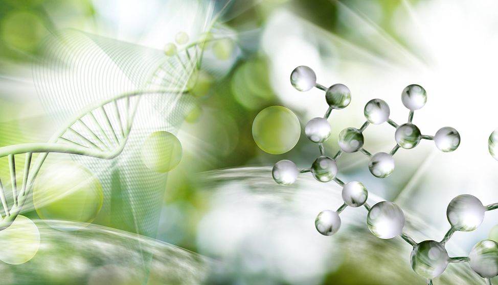 环烯醚萜类化合物的相关介绍