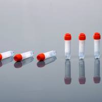 硕华 144340 1.5ml 2D冻存管,外旋可立,凹盖,盒装,橙色,三码合一