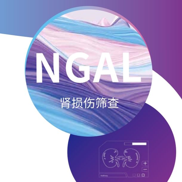 NGAL(中性粒细胞明胶酶相关脂质运载蛋白)胶体金试纸条