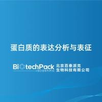蛋白质的表达分析与表征
